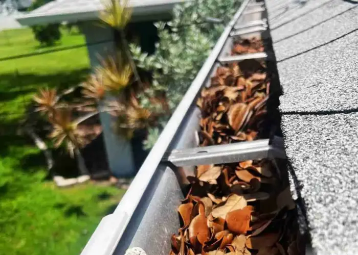 Gutter Cleaning Waleska home page